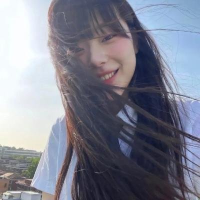 摄影师贝尔蒂与海豚零距离